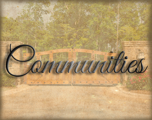 new castle homes graphic with text saying communities
